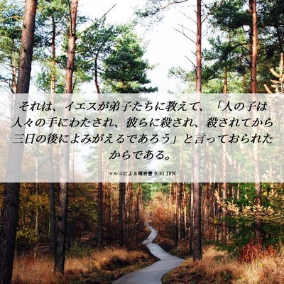 Picture 06 - マルコによる福音書 9:31 JPN - それは、イエスが弟子たちに教えて - Bible Verse Picture