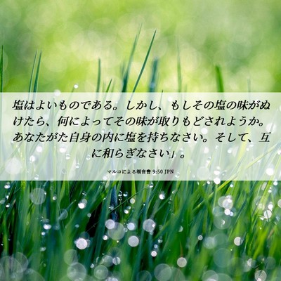 Picture 06 - マルコによる福音書 9:50 JPN - 塩はよいものである。しかし、もし - Bible Verse Picture