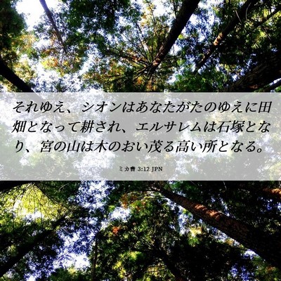 Picture 06 - ミカ書 3:12 JPN - それゆえ、シオンはあなたがたのゆ - Bible Verse Picture