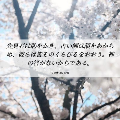 Picture 06 - ミカ書 3:7 JPN - 先見者は恥をかき、占い師は顔をあ - Bible Verse Picture