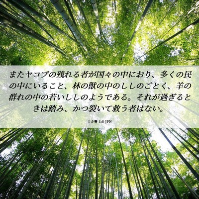 Picture 06 - ミカ書 5:8 JPN - またヤコブの残れる者が国々の中に - Bible Verse Picture
