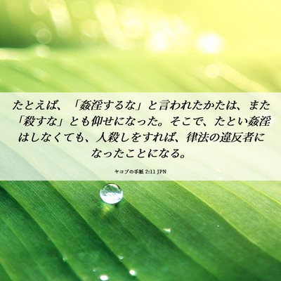 Picture 06 - ヤコブの手紙 2:11 JPN - たとえば、「姦淫するな」と言われ - Bible Verse Picture