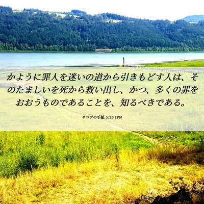 Picture 06 - ヤコブの手紙 5:20 JPN - かように罪人を迷いの道から引きも - Bible Verse Picture