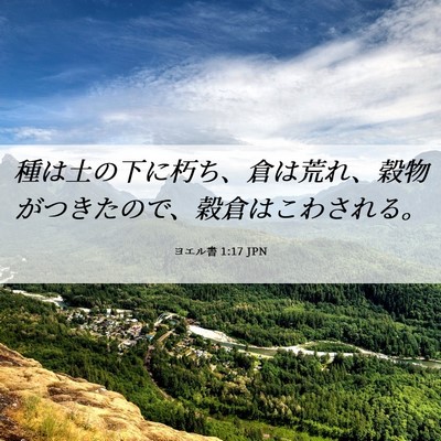 Picture 06 - ヨエル書 1:17 JPN - 種は土の下に朽ち、倉は荒れ、穀物 - Bible Verse Picture
