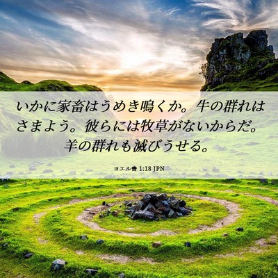 Picture 06 - ヨエル書 1:18 JPN - いかに家畜はうめき鳴くか。牛の群 - Bible Verse Picture