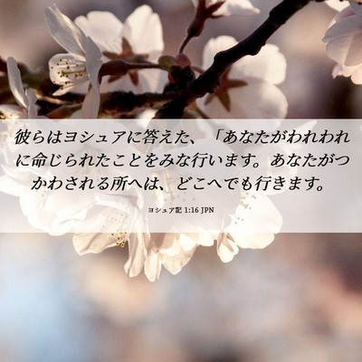 Picture 06 - ヨシュア記 1:16 JPN - 彼らはヨシュアに答えた、「あなた - Bible Verse Picture