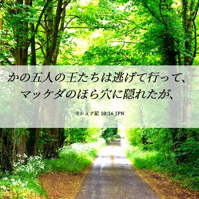 Picture 06 - ヨシュア記 10:16 JPN - かの五人の王たちは逃げて行って、 - Bible Verse Picture