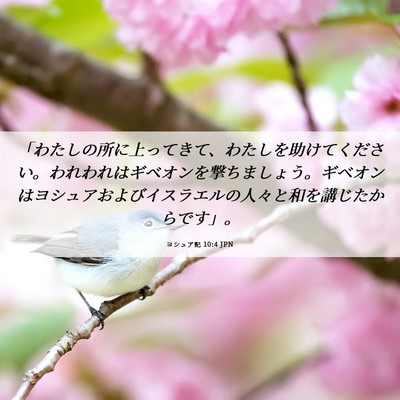 Picture 06 - ヨシュア記 10:4 JPN - 「わたしの所に上ってきて、わたし - Bible Verse Picture