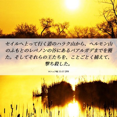 Picture 06 - ヨシュア記 11:17 JPN - セイルへ上って行く道のハラク山か - Bible Verse Picture