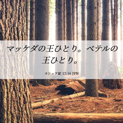Picture 06 - ヨシュア記 12:16 JPN - マッケダの王ひとり。ベテルの王ひ - Bible Verse Picture