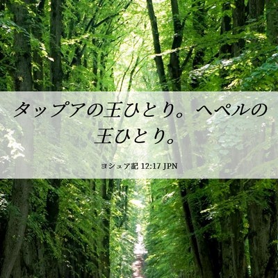 Picture 06 - ヨシュア記 12:17 JPN - タップアの王ひとり。ヘペルの王ひ - Bible Verse Picture