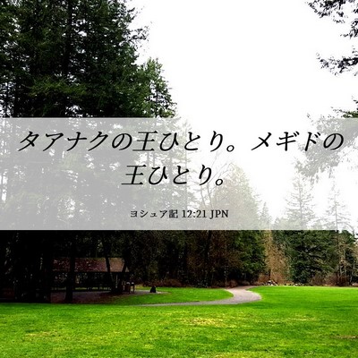 Picture 06 - ヨシュア記 12:21 JPN - タアナクの王ひとり。メギドの王ひ - Bible Verse Picture