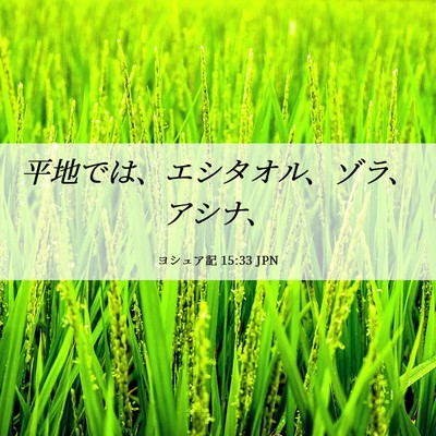 Picture 06 - ヨシュア記 15:33 JPN - 平地では、エシタオル、ゾラ、アシ - Bible Verse Picture