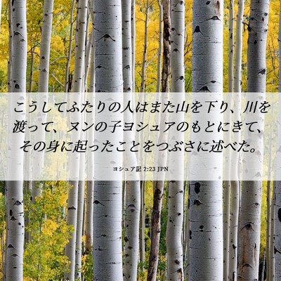 Picture 06 - ヨシュア記 2:23 JPN - こうしてふたりの人はまた山を下り - Bible Verse Picture