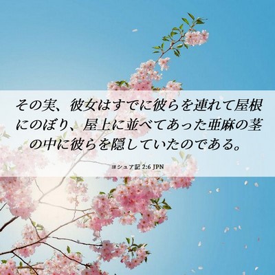 Picture 06 - ヨシュア記 2:6 JPN - その実、彼女はすでに彼らを連れて - Bible Verse Picture