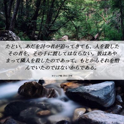 Picture 06 - ヨシュア記 20:5 JPN - たとい、あだを討つ者が追ってきて - Bible Verse Picture