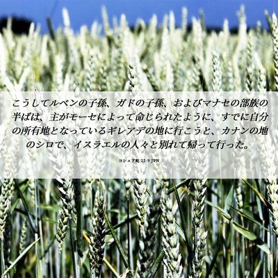 Picture 06 - ヨシュア記 22:9 JPN - こうしてルベンの子孫、ガドの子孫 - Bible Verse Picture