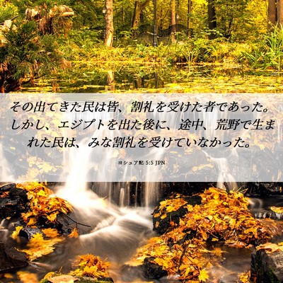 Picture 06 - ヨシュア記 5:5 JPN - その出てきた民は皆、割礼を受けた - Bible Verse Picture