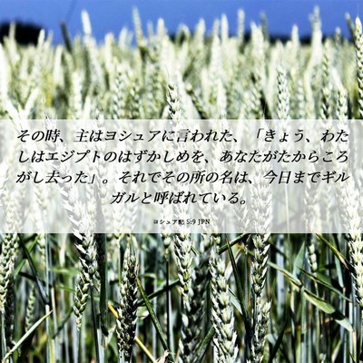 Picture 06 - ヨシュア記 5:9 JPN - その時、主はヨシュアに言われた、 - Bible Verse Picture