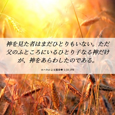 Picture 06 - ヨハネによる福音書 1:18 JPN - 神を見た者はまだひとりもいない。 - Bible Verse Picture