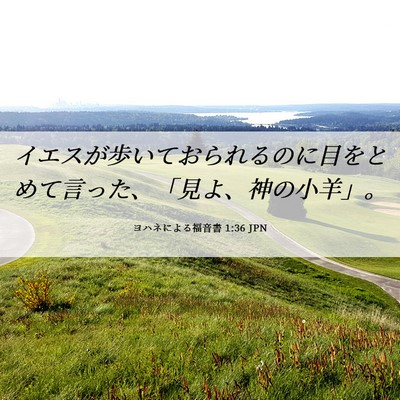 Picture 06 - ヨハネによる福音書 1:36 JPN - イエスが歩いておられるのに目をと - Bible Verse Picture