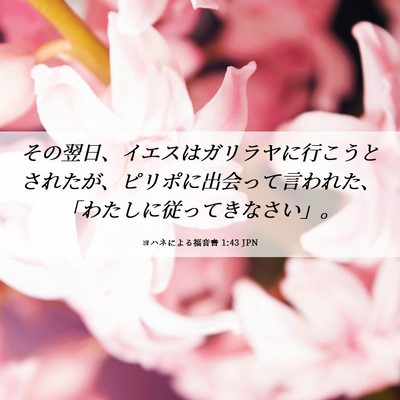 Picture 06 - ヨハネによる福音書 1:43 JPN - その翌日、イエスはガリラヤに行こ - Bible Verse Picture
