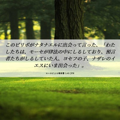 Picture 06 - ヨハネによる福音書 1:45 JPN - このピリポがナタナエルに出会って - Bible Verse Picture