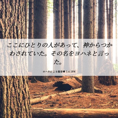Picture 06 - ヨハネによる福音書 1:6 JPN - ここにひとりの人があって、神から - Bible Verse Picture