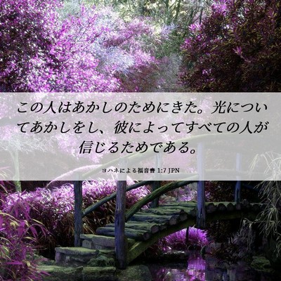 Picture 06 - ヨハネによる福音書 1:7 JPN - この人はあかしのためにきた。光に - Bible Verse Picture