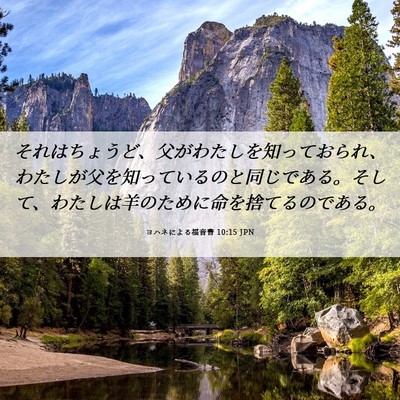Picture 06 - ヨハネによる福音書 10:15 JPN - それはちょうど、父がわたしを知っ - Bible Verse Picture
