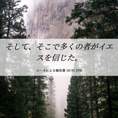 Picture 06 - ヨハネによる福音書 10:42 JPN - そして、そこで多くの者がイエスを - Bible Verse Picture