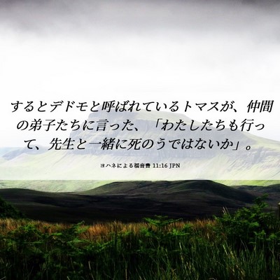 Picture 06 - ヨハネによる福音書 11:16 JPN - するとデドモと呼ばれているトマス - Bible Verse Picture