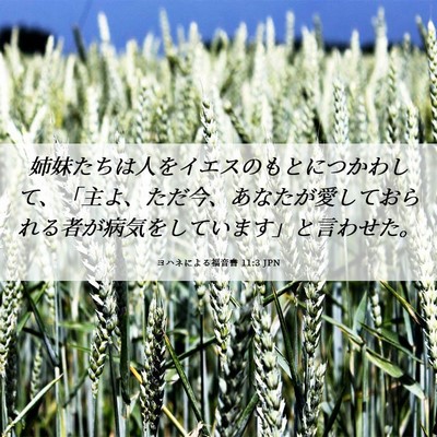 Picture 06 - ヨハネによる福音書 11:3 JPN - 姉妹たちは人をイエスのもとにつか - Bible Verse Picture