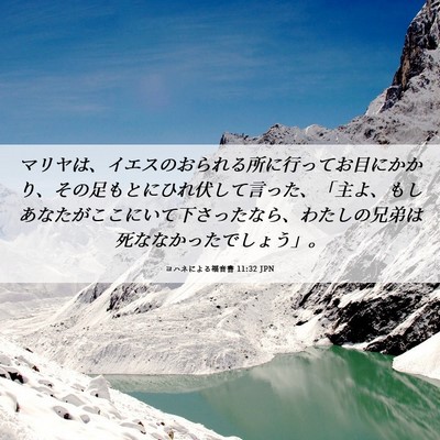 Picture 06 - ヨハネによる福音書 11:32 JPN - マリヤは、イエスのおられる所に行 - Bible Verse Picture