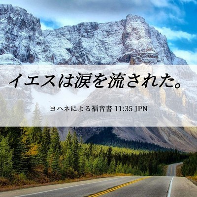 Picture 06 - ヨハネによる福音書 11:35 JPN - イエスは涙を流された。 - Bible Verse Picture