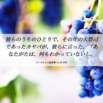 Picture 06 - ヨハネによる福音書 11:49 JPN - 彼らのうちのひとりで、その年の大 - Bible Verse Picture