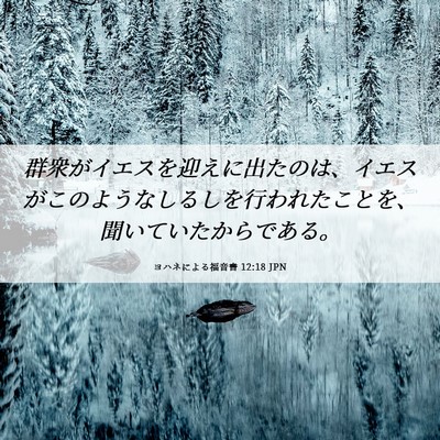 Picture 06 - ヨハネによる福音書 12:18 JPN - 群衆がイエスを迎えに出たのは、イ - Bible Verse Picture