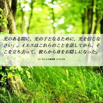Picture 06 - ヨハネによる福音書 12:36 JPN - 光のある間に、光の子となるために - Bible Verse Picture