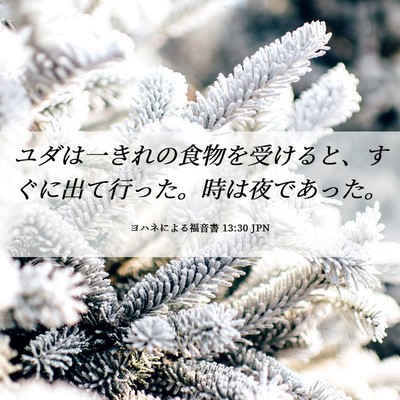 Picture 06 - ヨハネによる福音書 13:30 JPN - ユダは一きれの食物を受けると、す - Bible Verse Picture