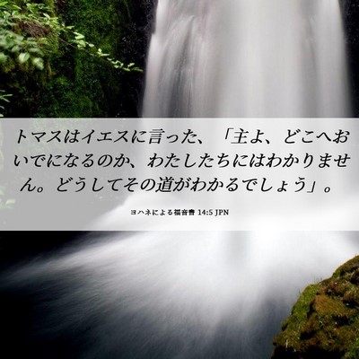 Picture 06 - ヨハネによる福音書 14:5 JPN - トマスはイエスに言った、「主よ、 - Bible Verse Picture