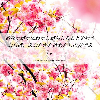 Picture 06 - ヨハネによる福音書 15:14 JPN - あなたがたにわたしが命じることを - Bible Verse Picture