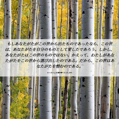 Picture 06 - ヨハネによる福音書 15:19 JPN - もしあなたがたがこの世から出たも - Bible Verse Picture