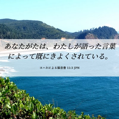 Picture 06 - ヨハネによる福音書 15:3 JPN - あなたがたは、わたしが語った言葉 - Bible Verse Picture