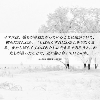 Picture 06 - ヨハネによる福音書 16:19 JPN - イエスは、彼らが尋ねたがっている - Bible Verse Picture