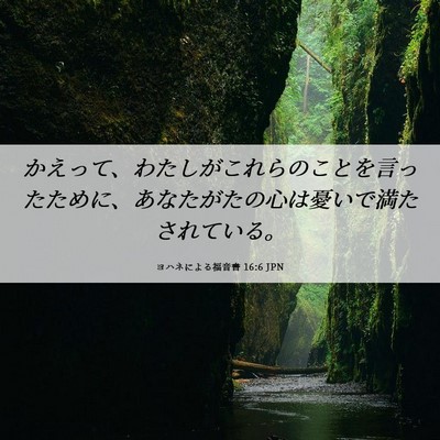 Picture 06 - ヨハネによる福音書 16:6 JPN - かえって、わたしがこれらのことを - Bible Verse Picture