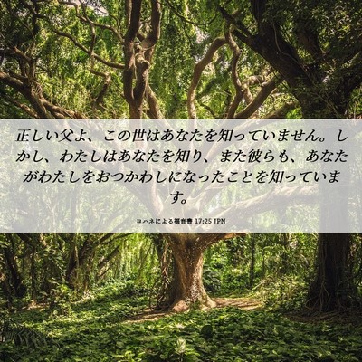 Picture 06 - ヨハネによる福音書 17:25 JPN - 正しい父よ、この世はあなたを知っ - Bible Verse Picture