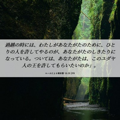Picture 06 - ヨハネによる福音書 18:39 JPN - 過越の時には、わたしがあなたがた - Bible Verse Picture