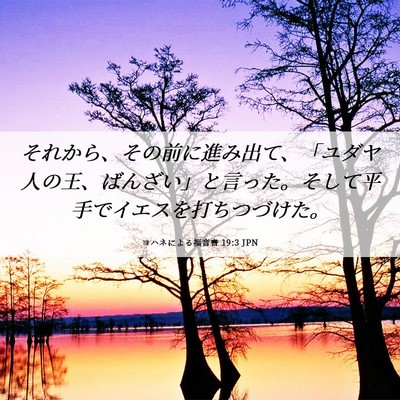 Picture 06 - ヨハネによる福音書 19:3 JPN - それから、その前に進み出て、「ユ - Bible Verse Picture
