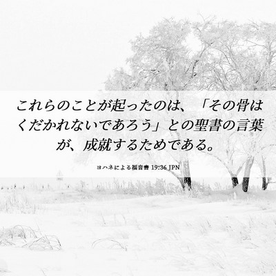 Picture 06 - ヨハネによる福音書 19:36 JPN - これらのことが起ったのは、「その - Bible Verse Picture