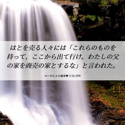 Picture 06 - ヨハネによる福音書 2:16 JPN - はとを売る人々には「これらのもの - Bible Verse Picture